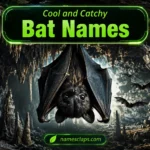 Cool And Catchy Bat Names