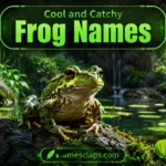Cool And Catchy Frog Names
