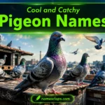 Cool And Catchy Pigeon Names