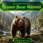Cool And Catchy Brown Bear Names