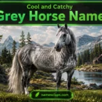 Cool And Catchy Grey Horse Names